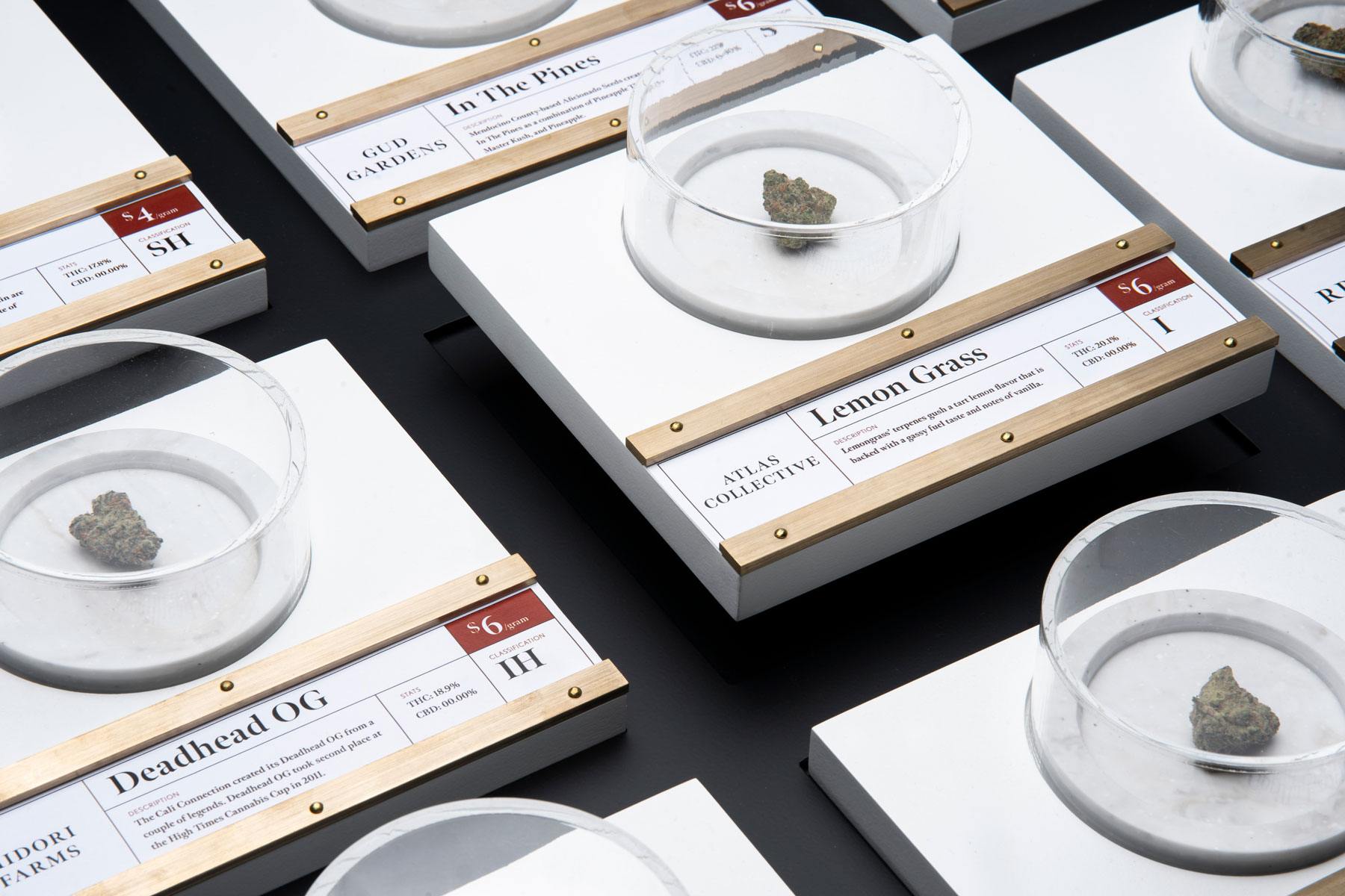 picture of 4 cannabis strains under glass