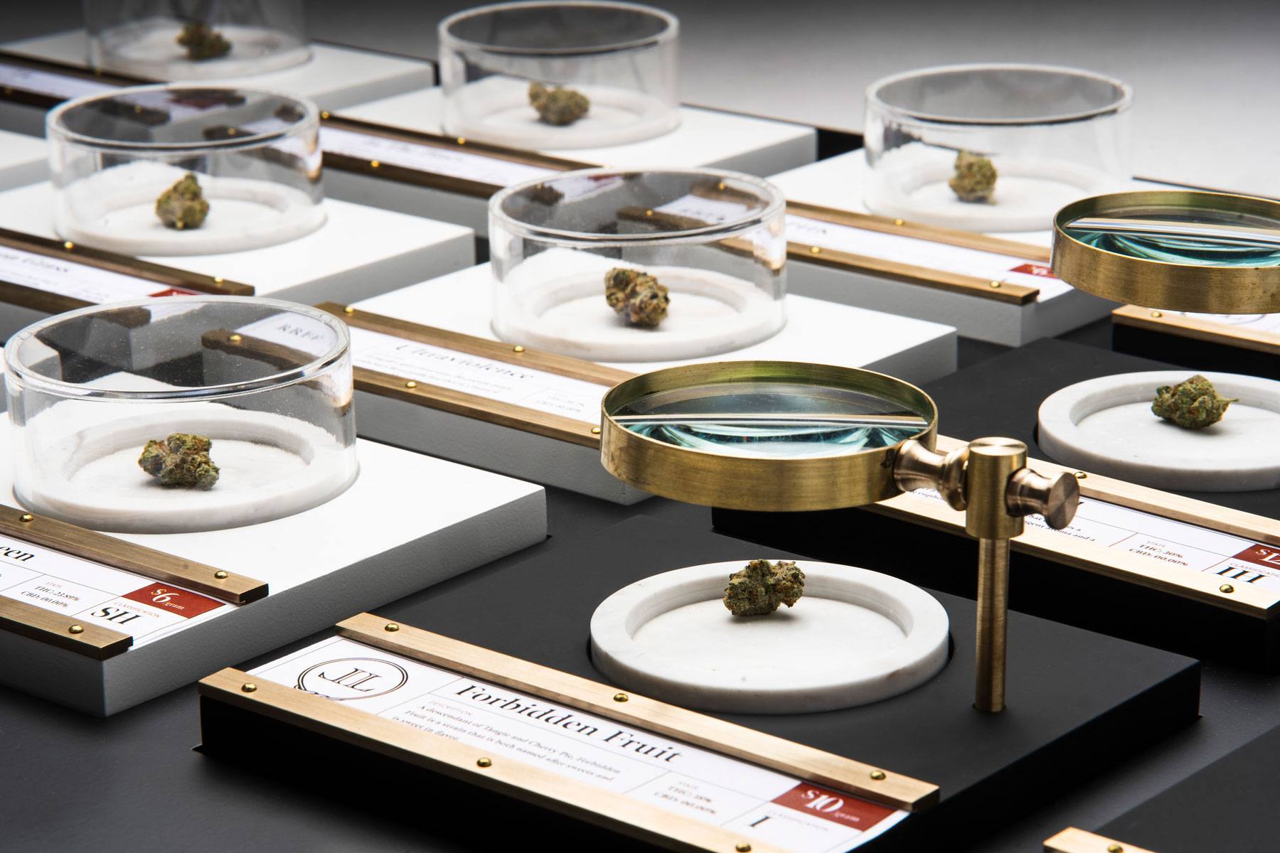 Closeup of Lucky Lion Weed Strains Under Glass on a Flower Countertop in a Portland Dispensary Location